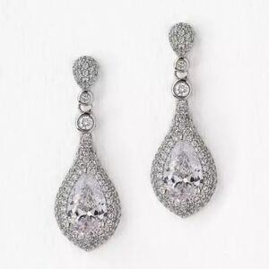Elegant Silver Drop Earrings